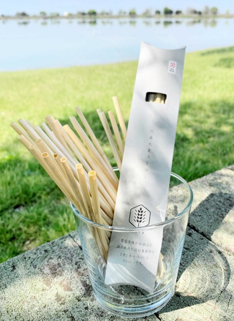 六条大麦の節間の茎を生かす麦ストローと、古紙の箱でパッケージした製品