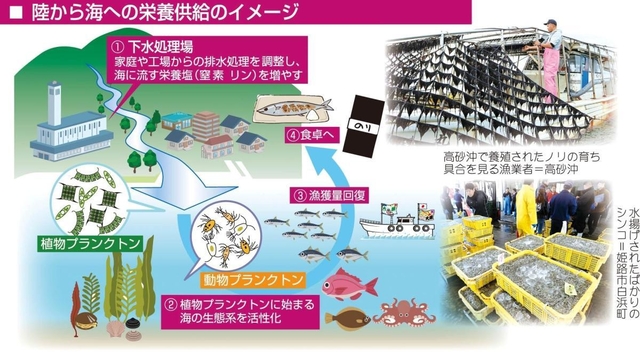 神戸新聞ＮＥＸＴ