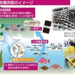 神戸新聞ＮＥＸＴ