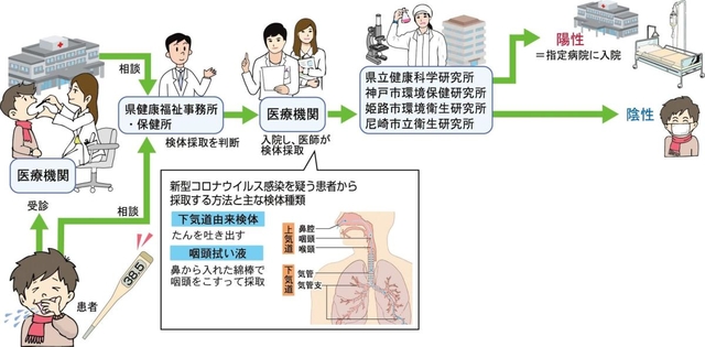 神戸新聞ＮＥＸＴ