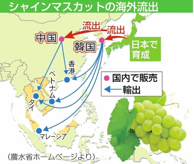 神戸新聞ＮＥＸＴ